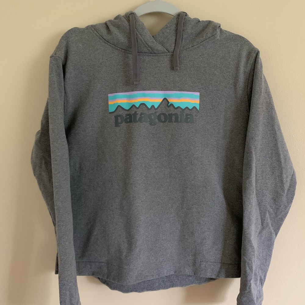 Patagonia Pastel Logo Hooded Sweatshirt